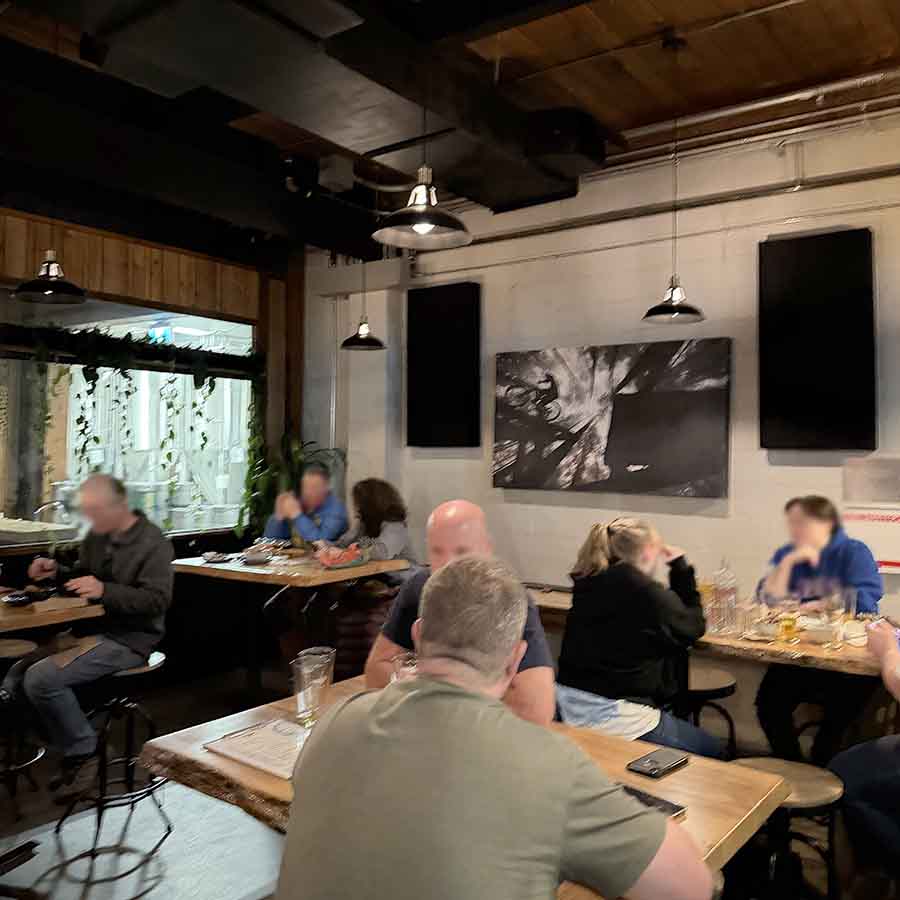 wildeye-back-of-room